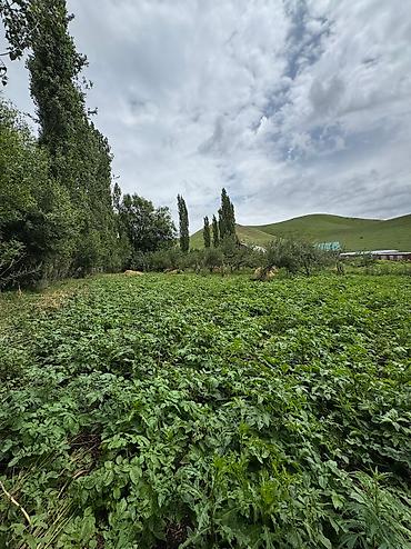 Иссык-Куль 2026: 🏠 Продается дом с участком • Баз для дом.животных (овец коров и — 4