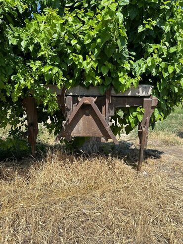 Тракторы МТЗ (Беларус): Модель: 82.1 экспортный, Б/у, 2008 г., Трактор с другими агрегатами — 13