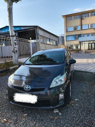 приус 2011: Toyota Prius: 2011 г., 1.8 л, Автомат, Гибрид, Хэтчбэк