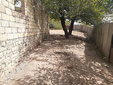 qusar a frame: 14 sot — 2