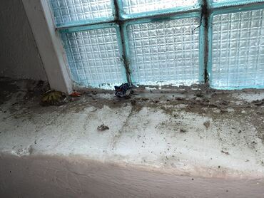 Уборка помещений: Уборка помещений, | Генеральная уборка, Мойка окон, Уборка после ремонта, | Дома, Кафе, магазины, Квартиры — 6