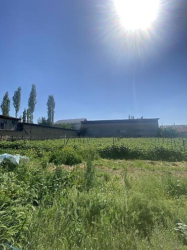 Продажа участков: 10 соток, Для строительства, Договор купли-продажи, Красная книга — 3
