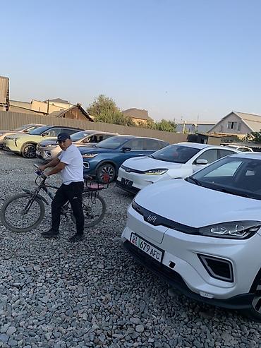 Другие аксессуары внешнего декора: Линейка кроссоверов (на фото — несколько экземпляров одного семейства) — 11