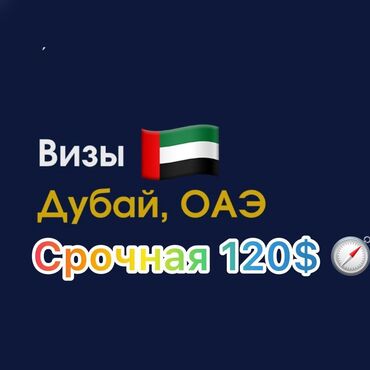 тур виза: Помощь при оформлении визы в ОАЭ без тура пишите,звоните и