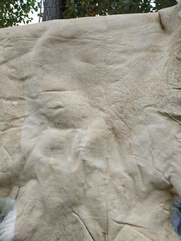 Ковры и паласы: Ковер Новый, Мех, Безналичная/наличная оплата at lalafo.kg — 8 Ковры и паласы: Ковер Новый, Мех, Безналичная/наличная оплата — 8