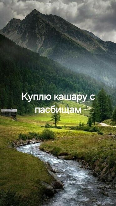 Куплю земельный участок: Куплю кашару с пасбищам в тихом и спокойном месте Иссык-куль или