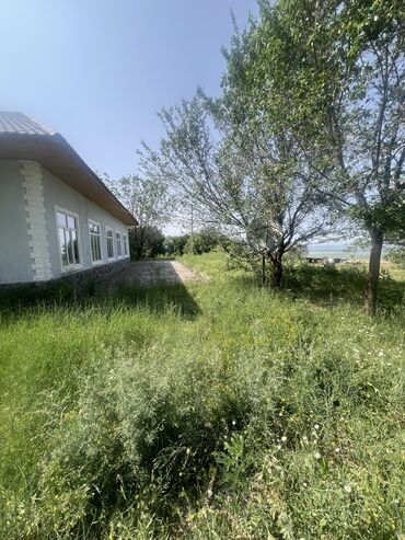 Другая коммерческая недвижимость: Продается зона отдыха находится в Панфиловском районе, урочище — 8