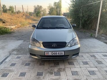 тайота авансиер: Toyota Corolla: 2004 г., 1.8 л, Автомат, Бензин, Седан