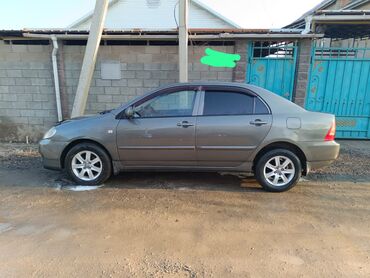 Toyota: Toyota Corolla: 2005 г., 1.6 л, Автомат, Бензин, Седан — 6
