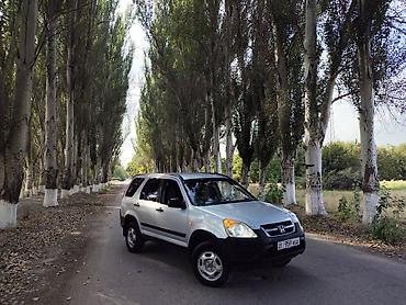 хрв: Honda CR-V: 2002 г., 2 л, Автомат, Бензин, Кроссовер — 6