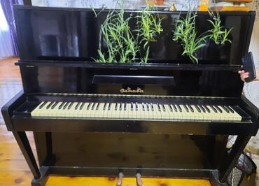 Pianolar: Piano, Boss, Akustik, İşlənmiş, Ünvandan götürmə