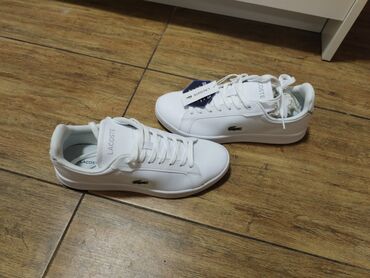 force patike: Lacoste, 42, color - White