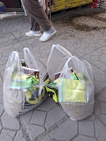 Другие стройуслуги: Газон Под ключ Посев газон 
ландшафтный дизайн сеем
газон — 17