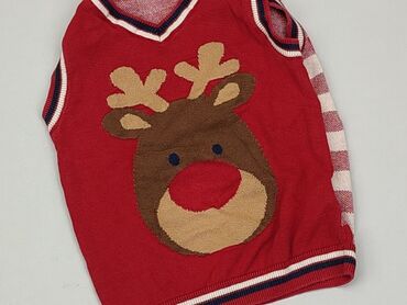 czerwony krótki sweterek: Sweterek, So cute, 1.5-2 lat, 86-92 cm, stan - Dobry