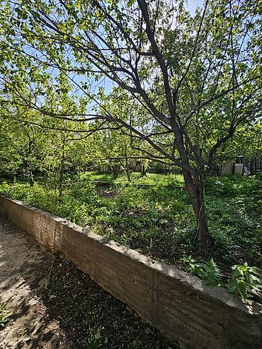 Продажа дач: Продается дачный домик в районе "Панорама", г. Бишкек Характеристики — 4