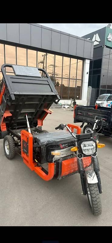 Легкий грузовой транспорт: Легкий грузовик, Новый — 18