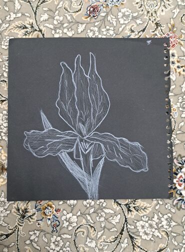три предмета: Рисунок цветка Ирис. Рисунок на чёрном листе, нарисован белым