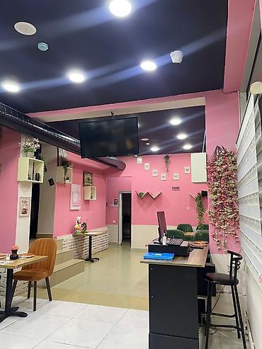 restaurant: Hazır Biznes satilir. Manolya Restaurant – — 5