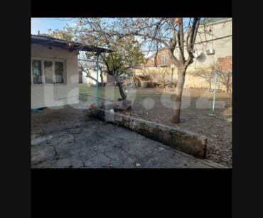 Torpaq sahələrinin satışı: Tikinti, Mülkiyyətçi, Kupça (Çıxarış) — 1