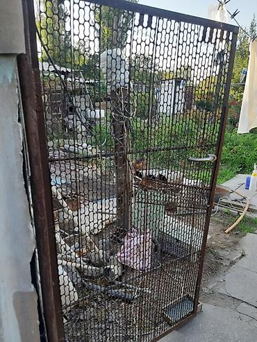 уголок метал: Металлическая калитка из перфорированного листа, в наличии 2шт — 4