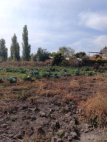 Продажа коттеджей и домов: 📌В селе Беловодское в районе центра продается дом из 4-х комнат на at lalafo.kg — 15 Продажа коттеджей и домов: 📌В селе Беловодское в районе центра продается дом из 4-х комнат на — 15