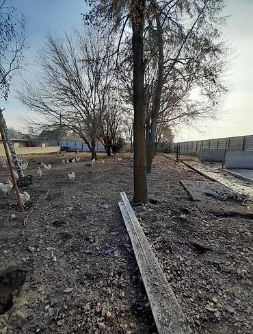 Продажа участков: 32 соток, Красная книга at lalafo.kg — 9 Продажа участков: 32 соток, Красная книга — 9