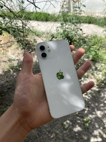 iphone price in kyrgyzstan: IPhone 12