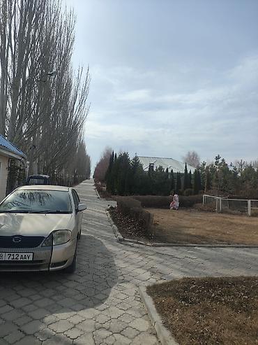 тайотв краун: Toyota Corolla: 2000 г., 1.5 л, Автомат, Бензин, Седан — 1