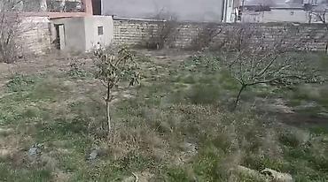 gence şeheri: 4 sot, Tikinti, Mülkiyyətçi, Bələdiyyə — 1