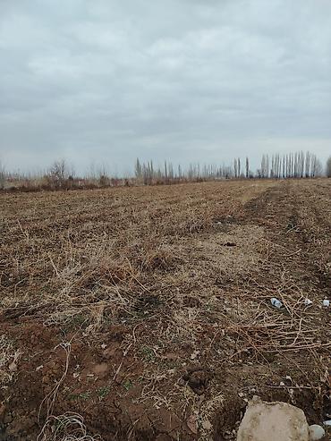 Продажа участков: 200 соток — 2