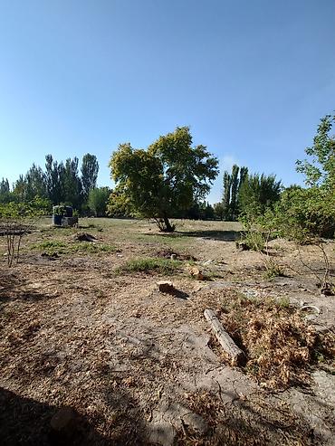дмитриевка дача: Продаётся участок с домом в сельской местности. село Дмитриевка первая — 4