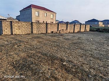10000 evler: 4 sot, Kənd təsərrüfatı, Mülkiyyətçi, Kupça (Çıxarış) — 7