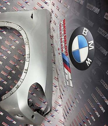 r17 dijagnoza: DESNO KRILO BLATOBRAN E70 ZA BMW X5 OD 2007. DO 2010. GOD. | — 3