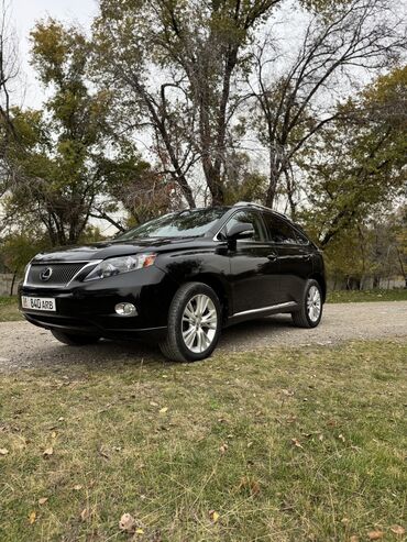 rx гибрид: Lexus RX: 2010 г., 3.5 л, Автомат, Гибрид