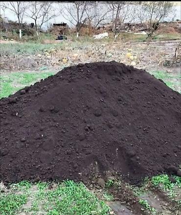тандыр печ: В тоннах, Бесплатная доставка, Зил — 1