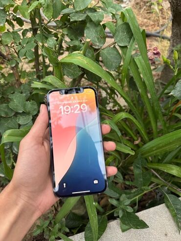 Apple iPhone: IPhone 12, Qara, Face ID