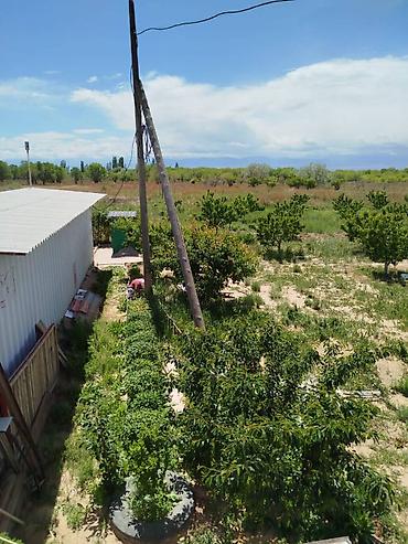 Продажа участков: 200 соток, Для сельского хозяйства — 7