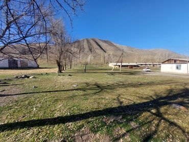 Сельхоз предприятия: Продаю Кошара, 150 соток, Действующий, С оборудованием, Электричество, Холодная вода — 3