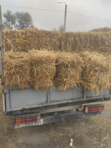 наполнитель для животных: Продаю клевер 1 укос, клевер с камышем, отсталость 50 шт,320сом