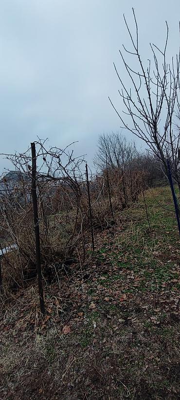 Откатные ворота: Продаю дом 52кв/м в доме 3комноты и проходная кухня а так же сан узел — 12