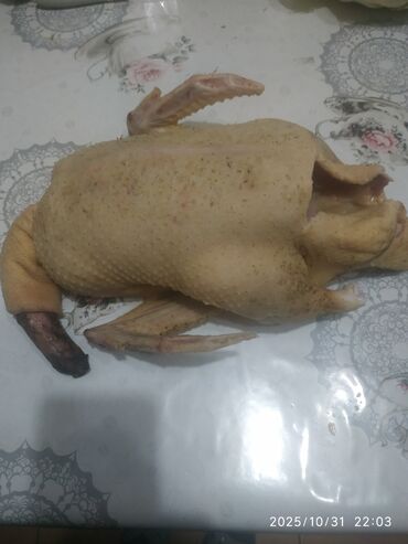 мясо баранина цена за кг: Жыпарөрдөк :, 2 кг, Акылуу жеткирүү