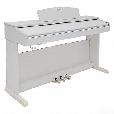 dinami: "ROCKDALE Etude 128 Graded White" elektro pianoROCKDALE Etude 128 — 7