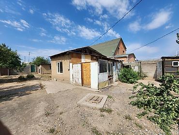 фруктовая: Дрова Фруктовая древесина — 7