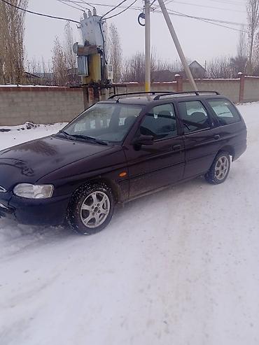 Ford: Ford Escort: 1995 г., 1.6 л, Механика, Бензин, Универсал — 11