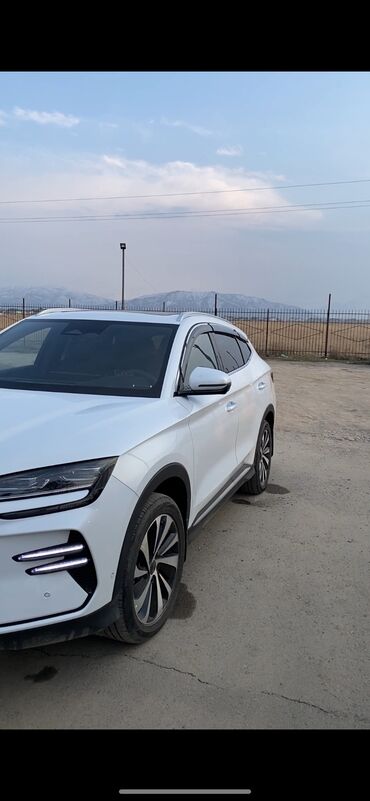 Ветровики и мухобойки: Ветровики на окна BYD, 2024 г., Новый, Платная доставка, Самовывоз