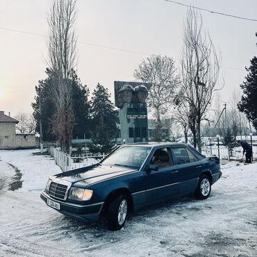 Mercedes-Benz: Mercedes-Benz W124: 1991 г., 2.2 л, Механика, Бензин, Седан