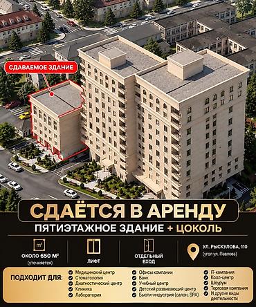 capital holding: Сдается в аренду отдельностоящее пятиэтажное здание с цоколем — 1