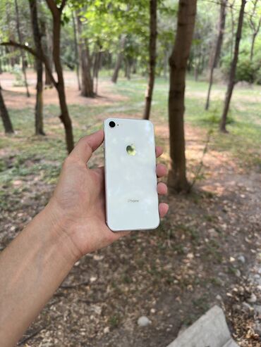 13 про макс цена бишкек бу: IPhone 8, Колдонулган, 64 ГБ, Ак, Каптама, 78 %