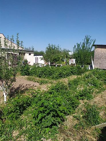 жаны уйлор: 🏡 ПРОДАЁТСЯ УЧАСТОК С ДОМОМ В С. БАЙТИК 🔥 ✨ Просторный участок с жилым — 4