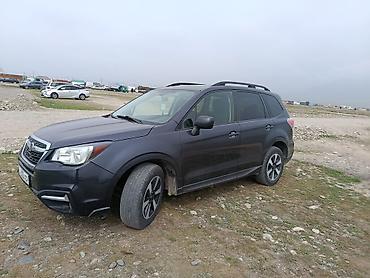 mini cupper: Subaru Forester: 2017 г., Кроссовер — 2